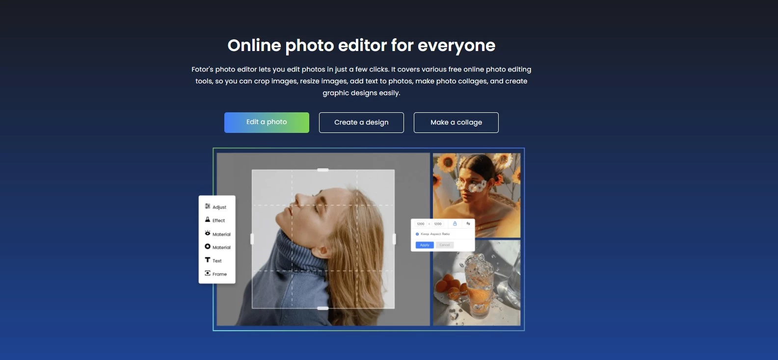 Fotor Background Removal Software