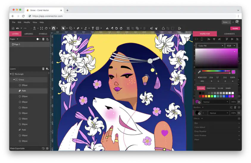 CorelVector Graphic Designer
