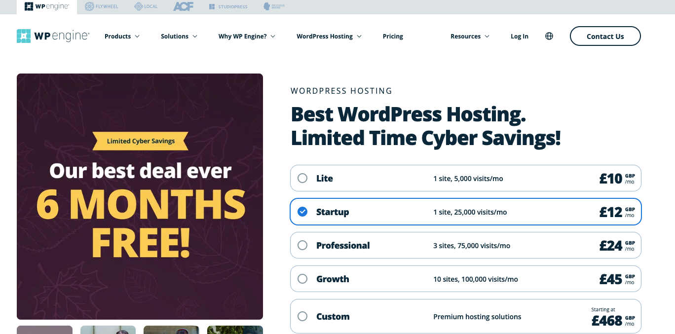WPengine Black Friday